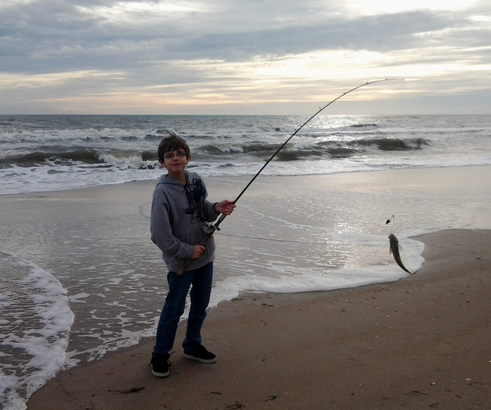 sea mullet on the frisco beach on hatteras