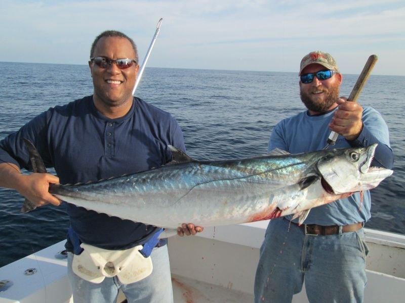 king mackerel hatteras island godspeed