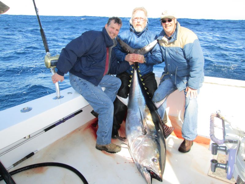 godspeed bluefin tuna