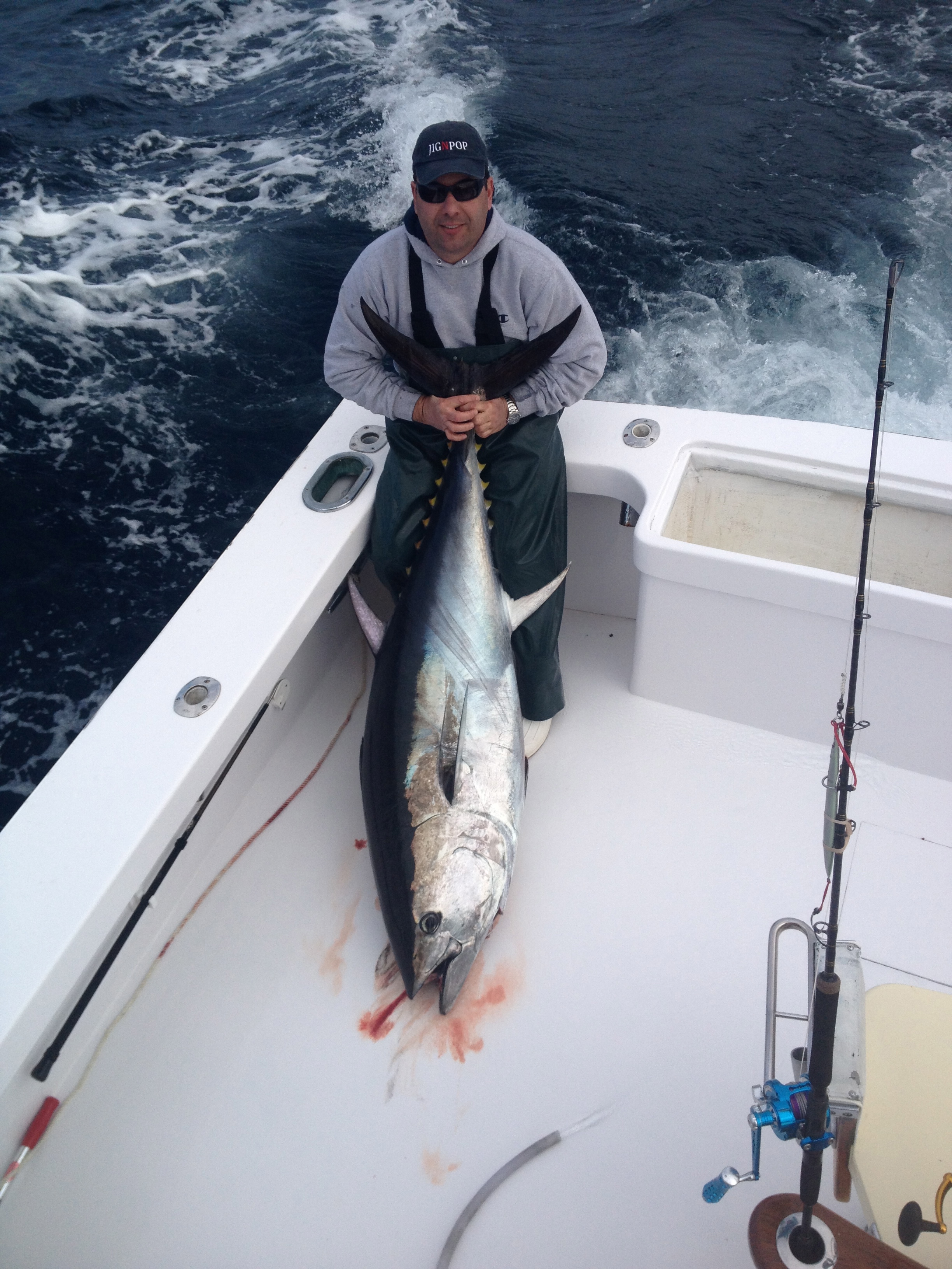 bluefin tuna off of hatteras island