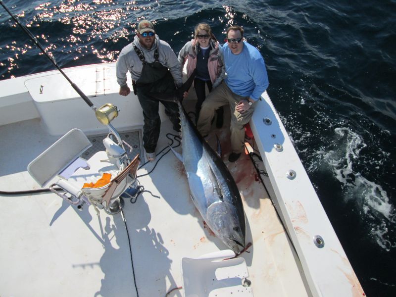 godspeed  big bluefin tuna hatteras island