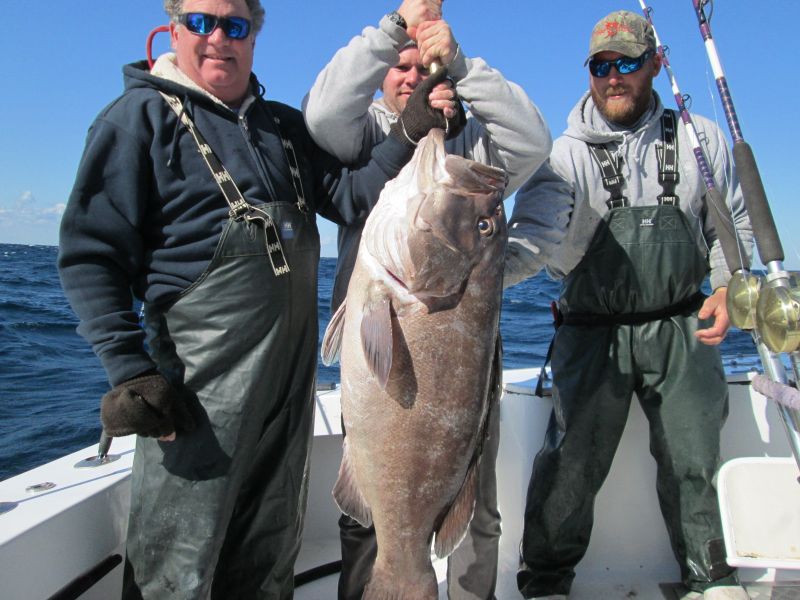 godspeed snowy grouper hatteras island offshore