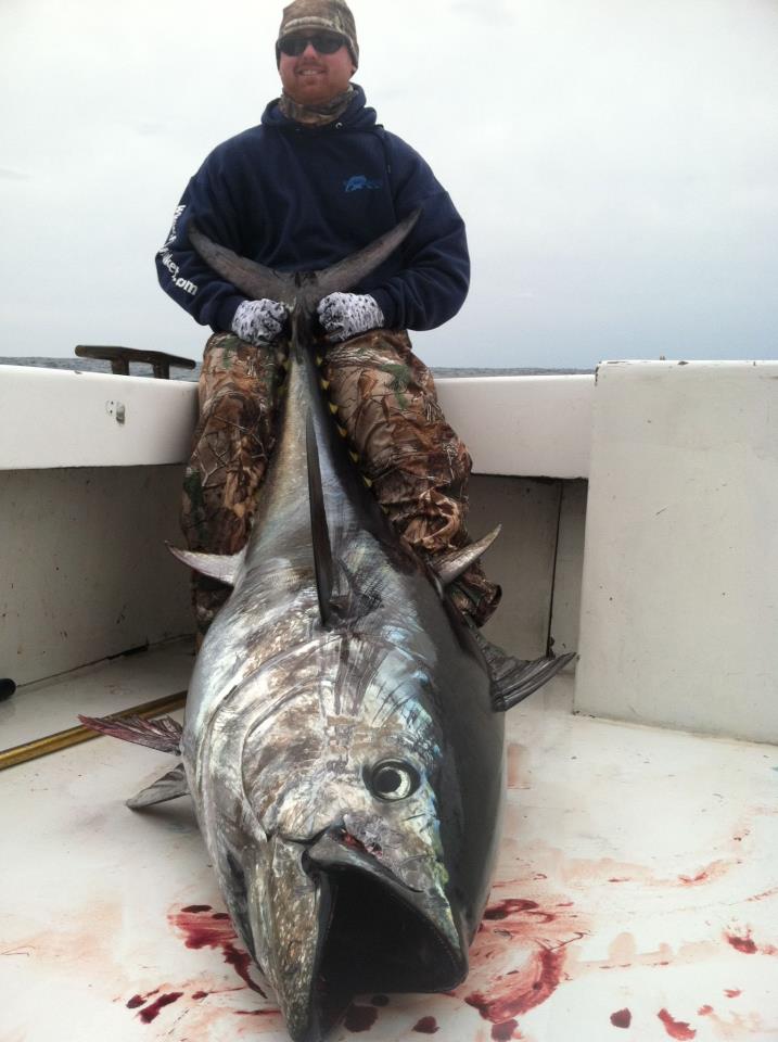 good times bluefin tuna hatteras island