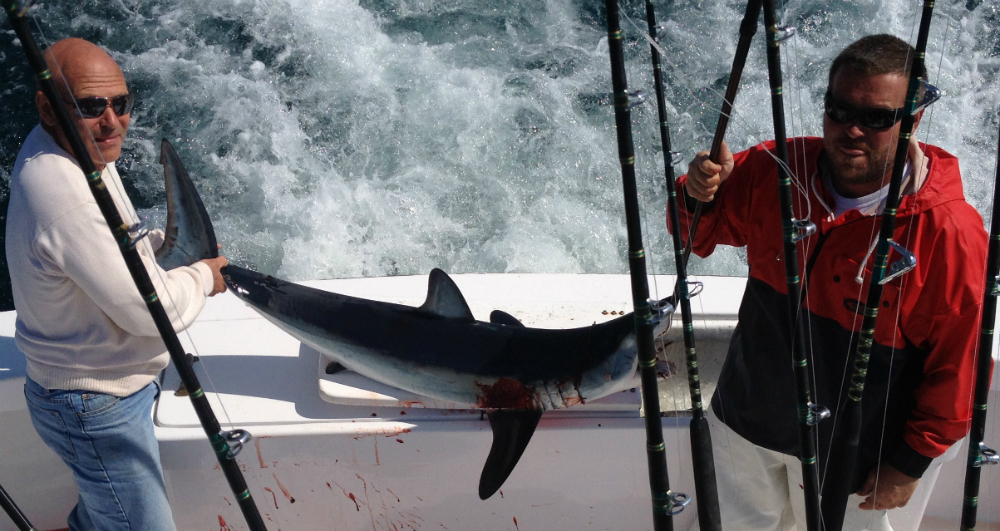 mako shark fishing hatteras nc