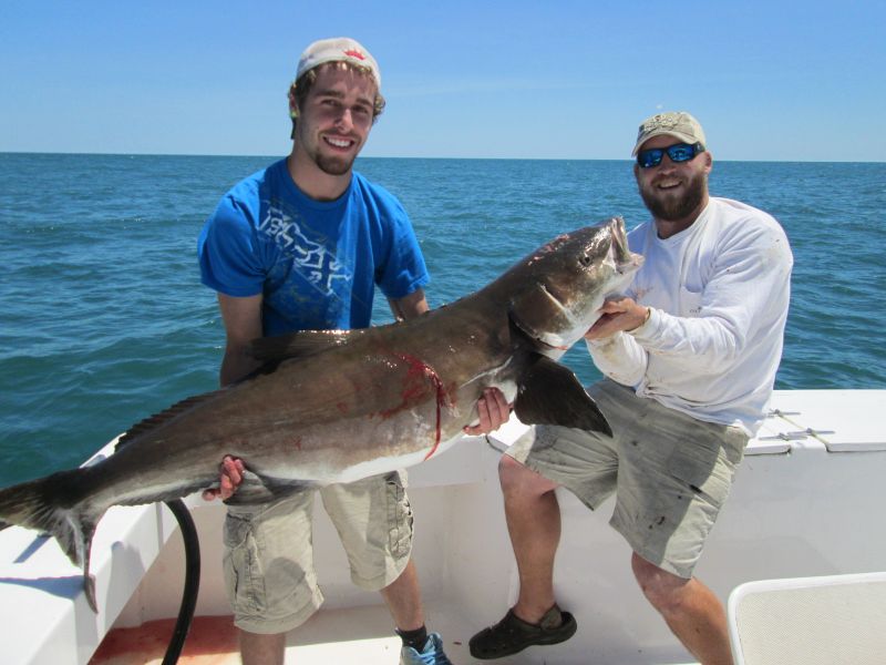 godspeed 83 lb cobia hatteras nc