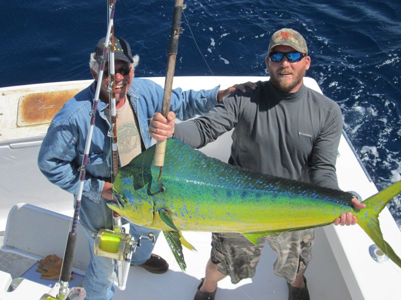 goodspeed dolphin fishing hatteras