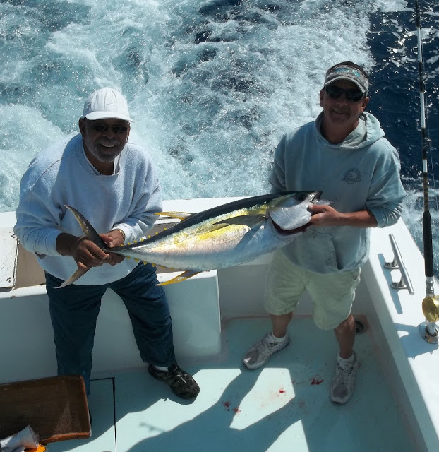 native son yellowfin tuna fishing hatteras