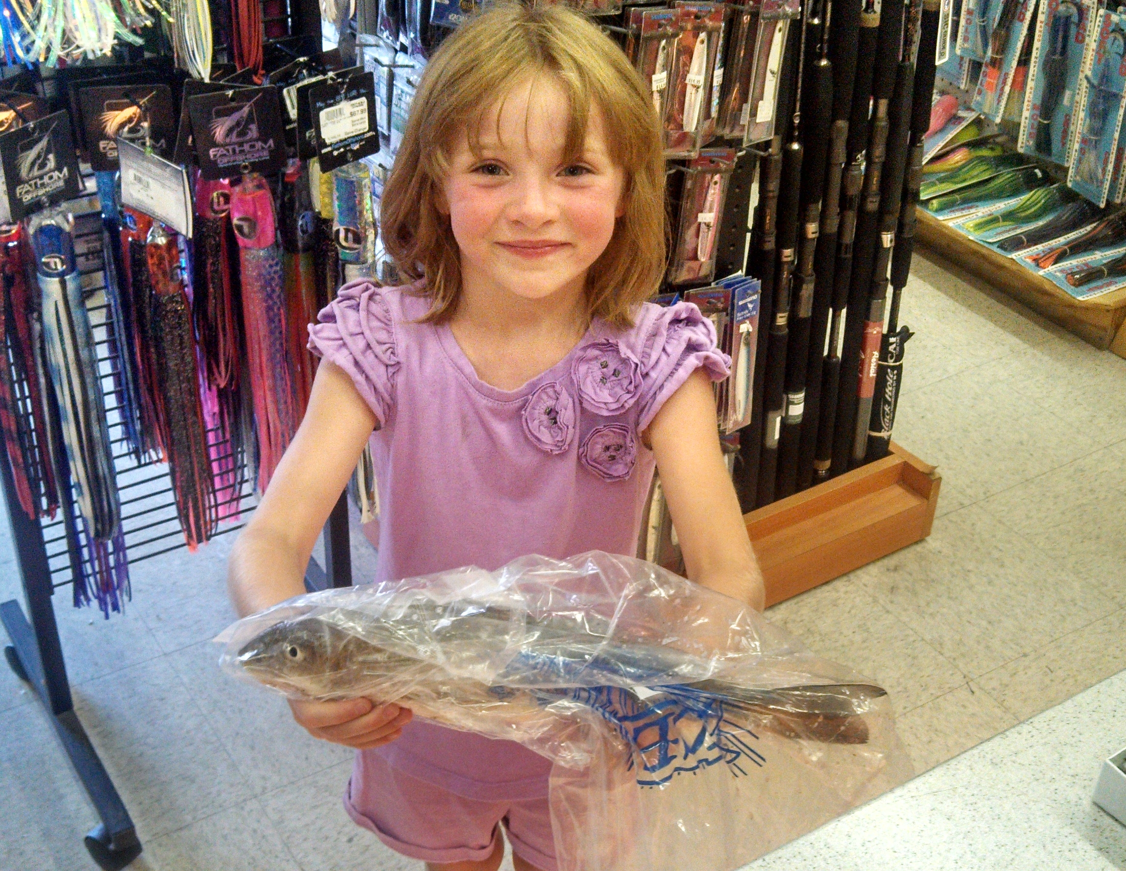 sea mullet on the Frisco beach 