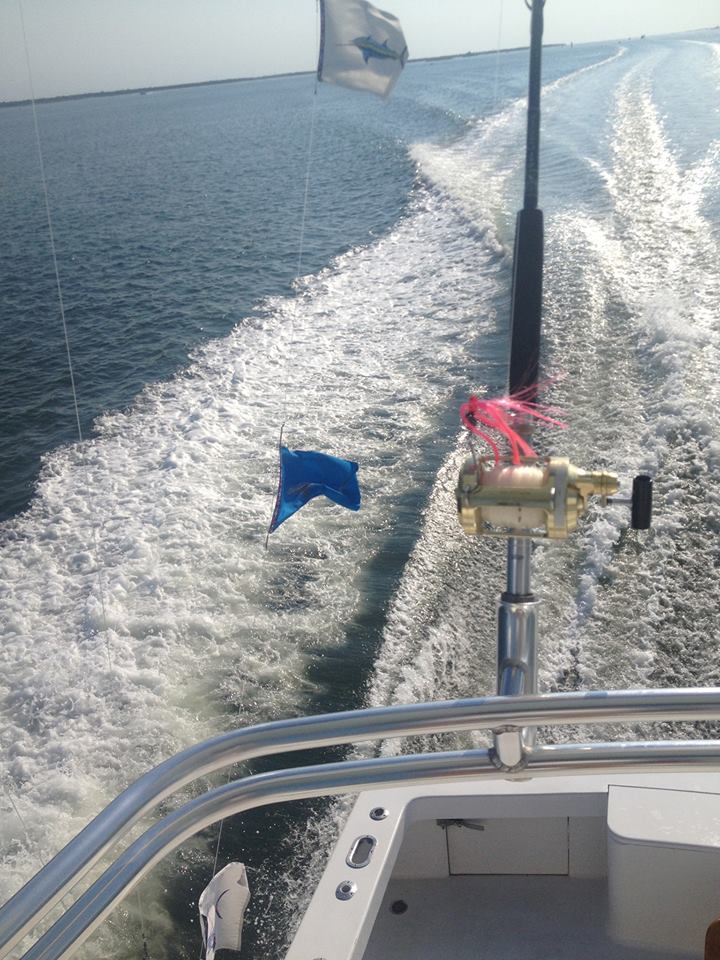 sea creature grand slam hatteras nc