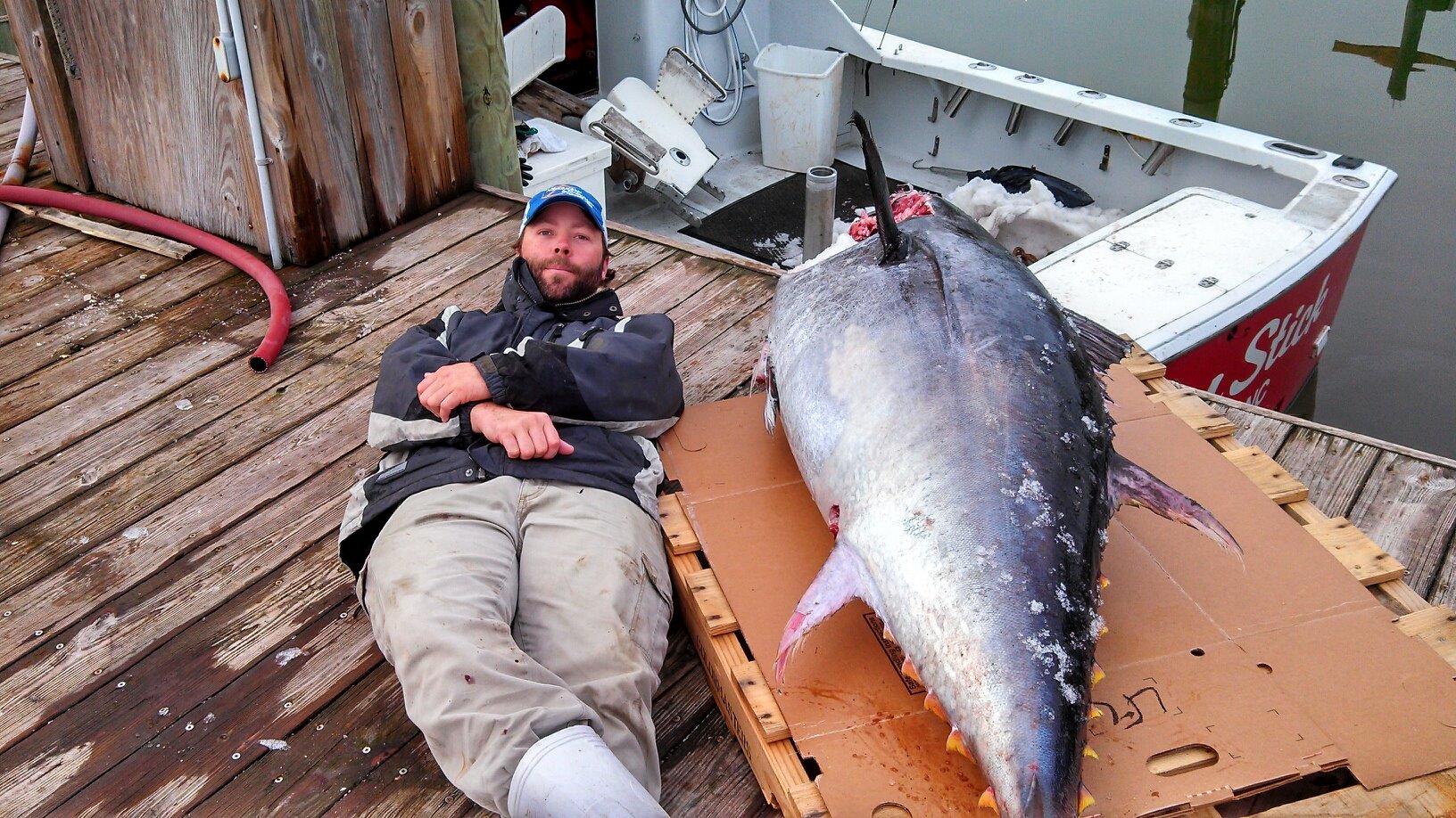 drum stick bluefin tuna