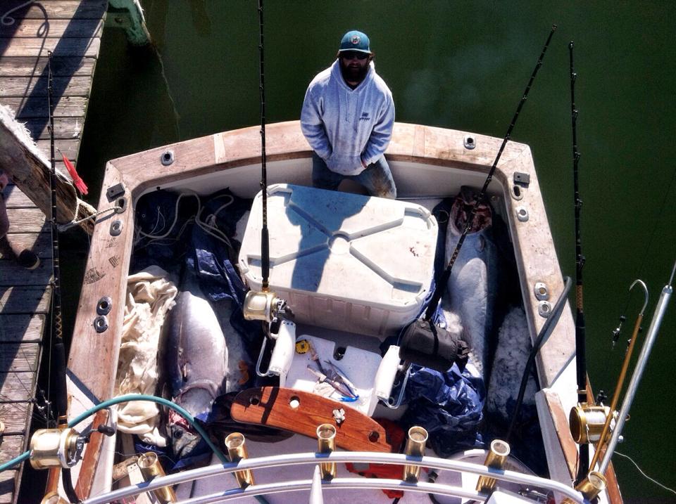 whatever charters bluefin tuna hatteras nc