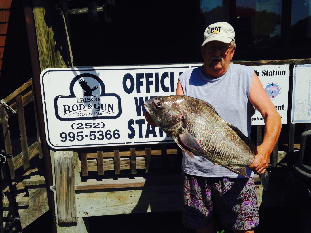 black drum frisco nc