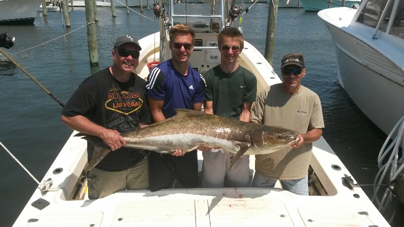 cobia hatteras nc