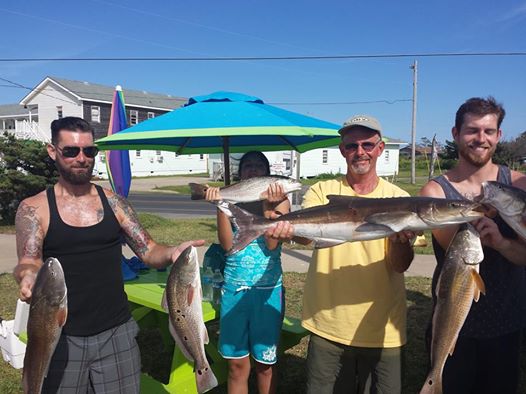 Hang On Charters sight-casted cobia and drum