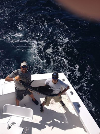 Sea Creature sailfish release 6-29-14