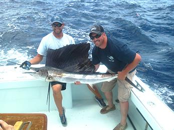 Tuna Duck sailfish release