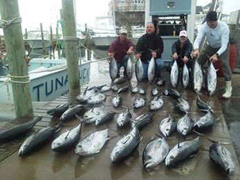 Tuna Duck blackfins