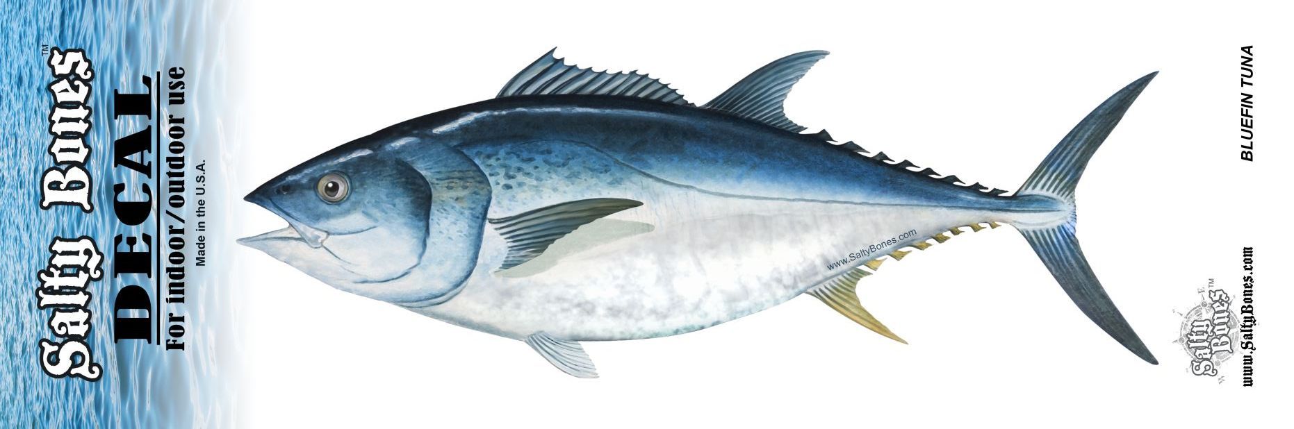 salty bones bluefin tuna