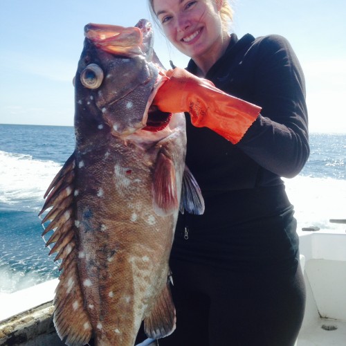 grouper fishing good times