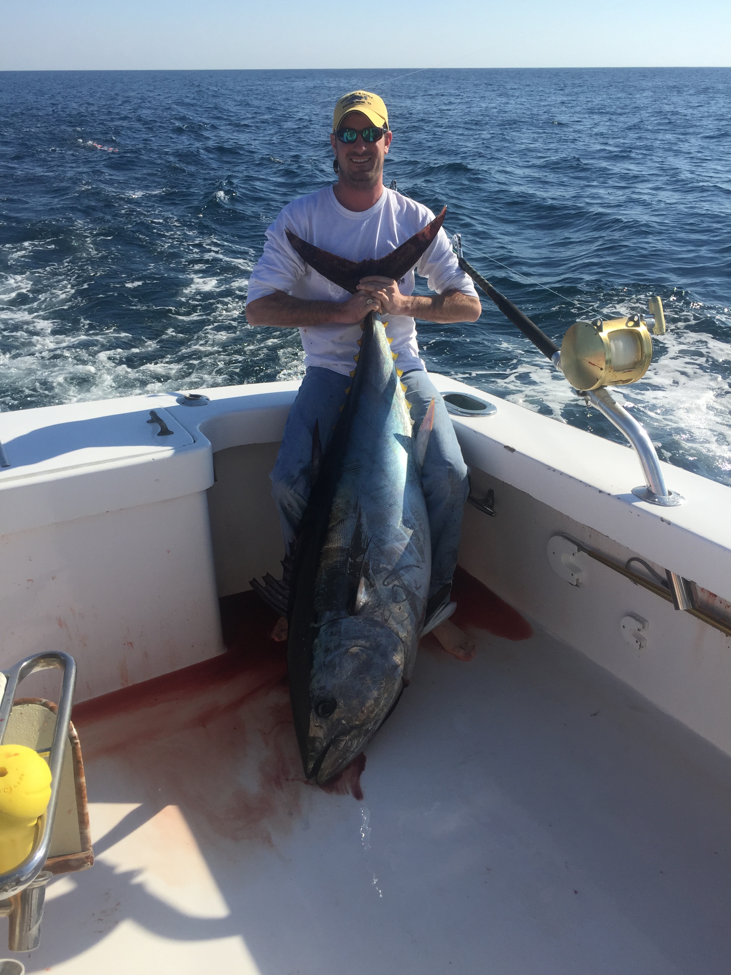 bluefin tuna bite me