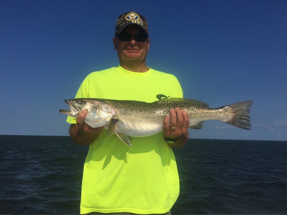 tradition speckle trout 